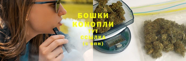 PSILOCYBIN Сатка