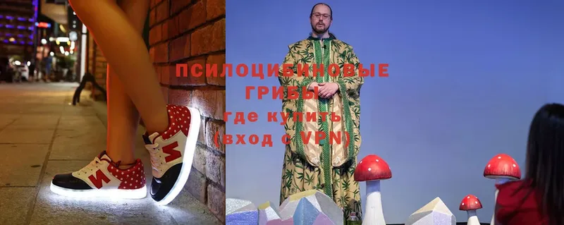 это официальный сайт  Анива  Галлюциногенные грибы Psilocybine cubensis 